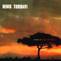 Denis Tshibayi