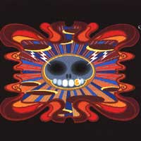 Super Furry Animals