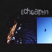 Echobrain