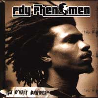 FDY Phenomen