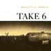 Take 6