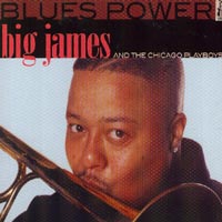 Big James and The Chicago Playboys