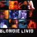 blondie