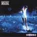 muse