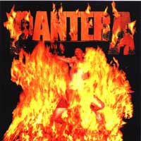 Pantera