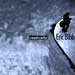 Eric Bibb