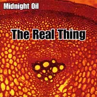 Midnight Oil