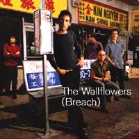 The Wallflowers