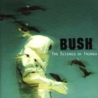Bush
